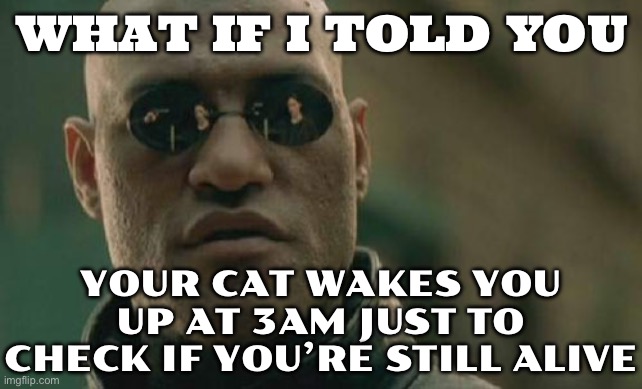 YOUR CAT WAKES YOU UP AT 3AM JUST TO CHECK IF YOU’RE STILL ALIVE | WHAT IF I TOLD YOU; YOUR CAT WAKES YOU UP AT 3AM JUST TO CHECK IF YOU’RE STILL ALIVE | image tagged in memes,matrix morpheus,cats,cat memes,alive,dead | made w/ Imgflip meme maker