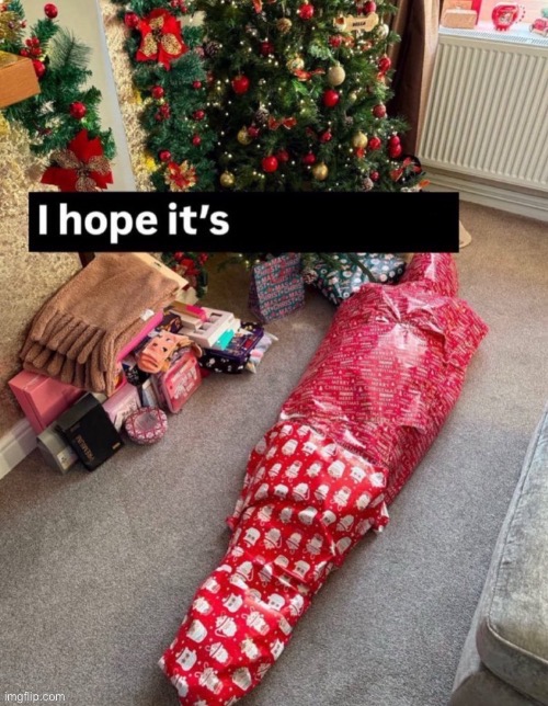 new template | image tagged in i hope it s x | made w/ Imgflip meme maker