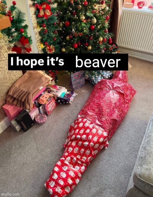 Justin Beaver | beaver | image tagged in i hope it s x | made w/ Imgflip meme maker