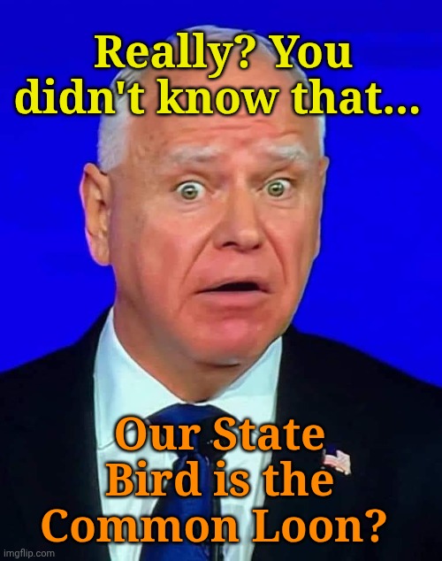 B-de, b-de, b-de... That's All, Folks! | Really? You didn't know that... Our State Bird is the Common Loon? | image tagged in tim walz debate | made w/ Imgflip meme maker