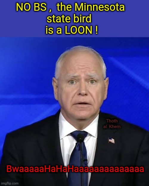 MINNESOTA STATE BIRD IS A LOON | NO BS ,  the Minnesota           state bird                      is a LOON ! Thoth  al  Khem; BwaaaaaHaHaHaaaaaaaaaaaaaa | image tagged in tim walz,tampon tim walz,tim walls an idiot,somali corruption minnesota | made w/ Imgflip meme maker