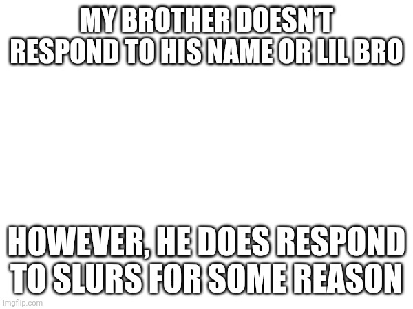 MY BROTHER DOESN'T RESPOND TO HIS NAME OR LIL BRO; HOWEVER, HE DOES RESPOND TO SLURS FOR SOME REASON | made w/ Imgflip meme maker