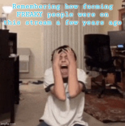 Tiktok breakdown guy | Remembering how fucming FREAKY people were on this stream a few years ago | image tagged in tiktok breakdown guy | made w/ Imgflip meme maker