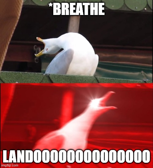 screaming duck | *BREATHE; LANDOOOOOOOOOOOOOO | image tagged in screaming duck | made w/ Imgflip meme maker