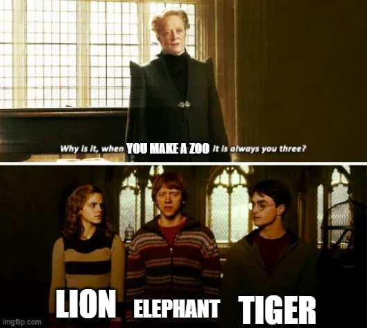 always these animals | YOU MAKE A ZOO; TIGER; LION; ELEPHANT | image tagged in always you three,planet zoo | made w/ Imgflip meme maker