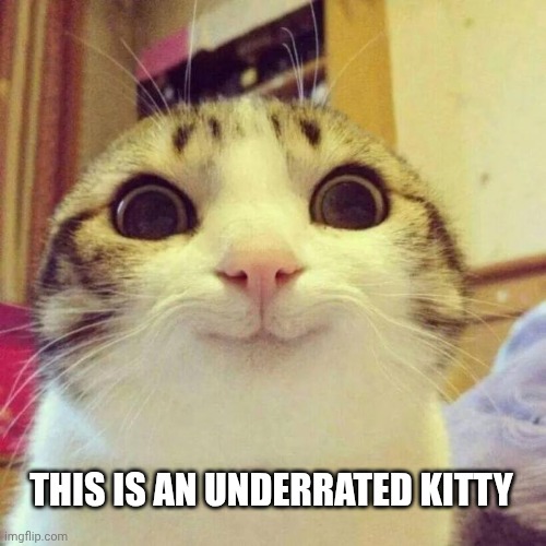 Meow | THIS IS AN UNDERRATED KITTY | image tagged in memes,smiling cat | made w/ Imgflip meme maker