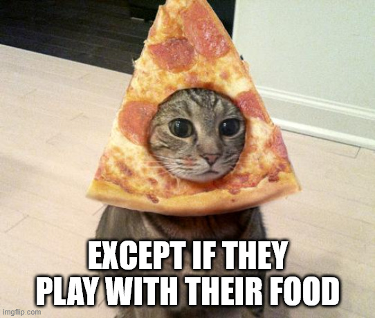 pizza cat | EXCEPT IF THEY PLAY WITH THEIR FOOD | image tagged in pizza cat | made w/ Imgflip meme maker
