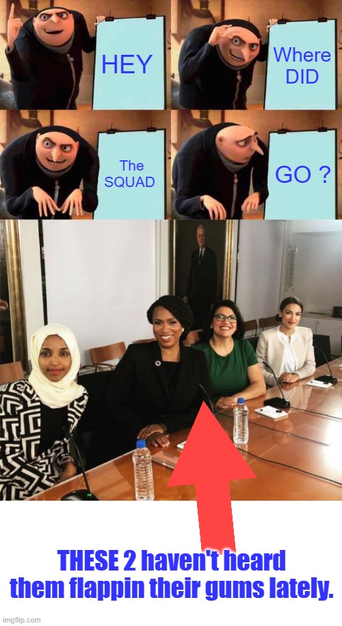 Not that i want to. | HEY; Where DID; The SQUAD; GO ? THESE 2 haven't heard them flappin their gums lately. | image tagged in memes,gru's plan,the squad | made w/ Imgflip meme maker