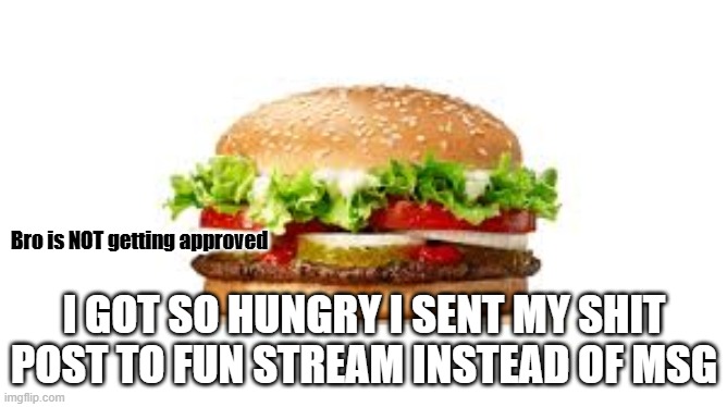 Bro is NOT getting approved; I GOT SO HUNGRY I SENT MY SHIT POST TO FUN STREAM INSTEAD OF MSG | made w/ Imgflip meme maker