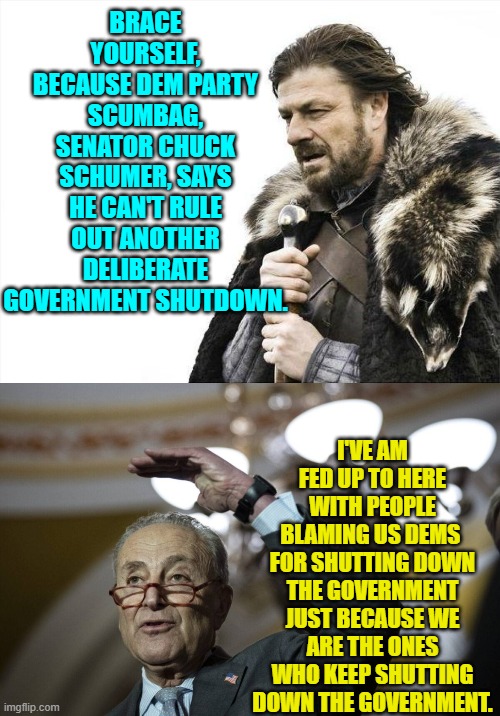They still expect their media outlets to be influential enough to provide them cover. | BRACE YOURSELF, BECAUSE DEM PARTY SCUMBAG, SENATOR CHUCK SCHUMER, SAYS HE CAN'T RULE OUT ANOTHER DELIBERATE GOVERNMENT SHUTDOWN. I'VE AM FED UP TO HERE WITH PEOPLE BLAMING US DEMS  FOR SHUTTING DOWN THE GOVERNMENT JUST BECAUSE WE ARE THE ONES WHO KEEP SHUTTING DOWN THE GOVERNMENT. | image tagged in brace yourselves x is coming | made w/ Imgflip meme maker