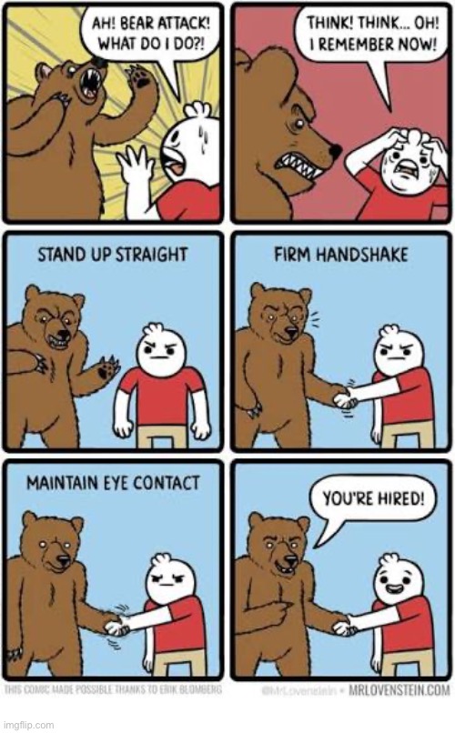 That went well… | image tagged in comics,mr lovenstein,bear,youre hired | made w/ Imgflip meme maker