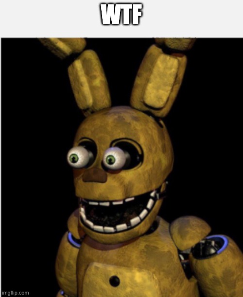 CHILDREN | WTF | image tagged in children | made w/ Imgflip meme maker