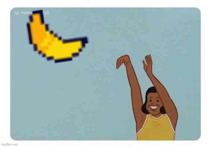 mom throwing baby | image tagged in mom throwing baby | made w/ Imgflip meme maker