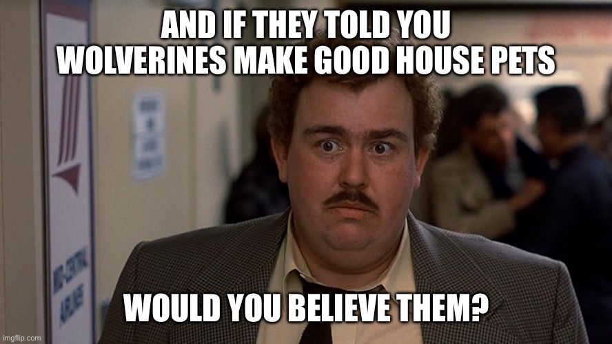 AND IF THEY TOLD YOU WOLVERINES MAKE GOOD HOUSE PETS WOULD YOU BELIEVE THEM? | image tagged in dell griffith | made w/ Imgflip meme maker