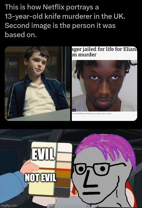 The only time you can make them white | EVIL; NOT EVIL | image tagged in netflix adaptation,race card,family guy,memes | made w/ Imgflip meme maker