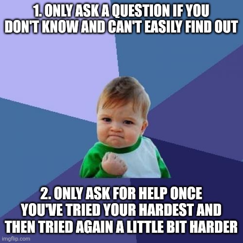 Two rules every kid needs to know by heart | 1. ONLY ASK A QUESTION IF YOU DON'T KNOW AND CAN'T EASILY FIND OUT; 2. ONLY ASK FOR HELP ONCE YOU'VE TRIED YOUR HARDEST AND THEN TRIED AGAIN A LITTLE BIT HARDER | image tagged in success kid,parenting,rules,homeschool,education,pedagogy | made w/ Imgflip meme maker