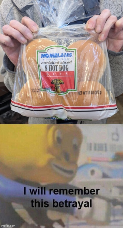 "Hot dog buns" | image tagged in i will remember this betrayal,buns,bun,hamburger buns,memes,you had one job | made w/ Imgflip meme maker