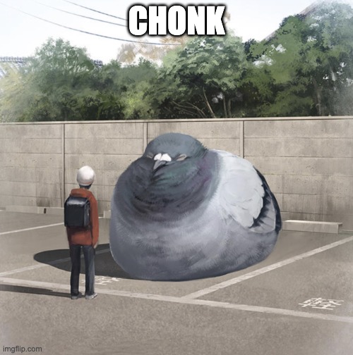 Beeg Birb | CHONK | image tagged in beeg birb | made w/ Imgflip meme maker