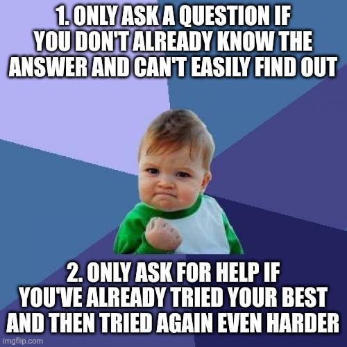 Two rules every kid should know by heart | 1. ONLY ASK A QUESTION IF YOU DON'T ALREADY KNOW THE ANSWER AND CAN'T EASILY FIND OUT; 2. ONLY ASK FOR HELP IF YOU'VE ALREADY TRIED YOUR BEST AND THEN TRIED AGAIN EVEN HARDER | image tagged in success kid,homeschool,education,pedagogy,rules,parenting | made w/ Imgflip meme maker