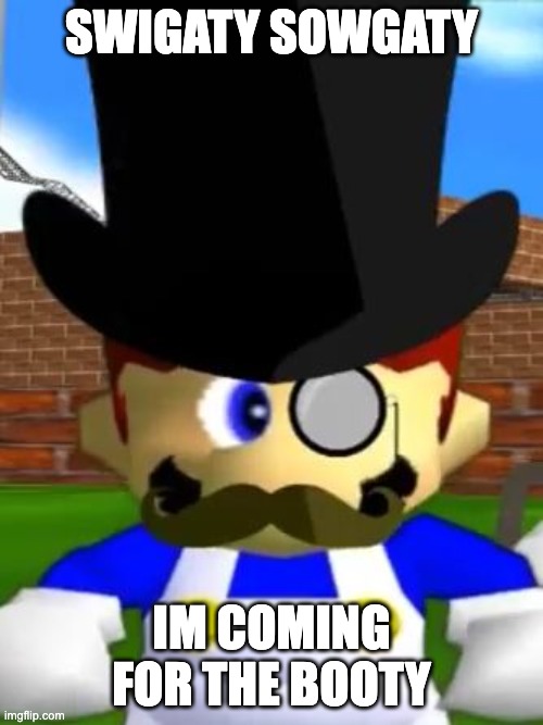 Wallet Inspecta SMG4 | SWIGATY SOWGATY; IM COMING FOR THE BOOTY | image tagged in wallet inspecta smg4 | made w/ Imgflip meme maker