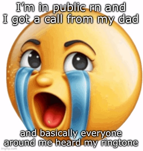 Realistic sob crying emoji | I’m in public rn and I got a call from my dad; and basically everyone around me heard my ringtone | image tagged in realistic sob crying emoji | made w/ Imgflip meme maker