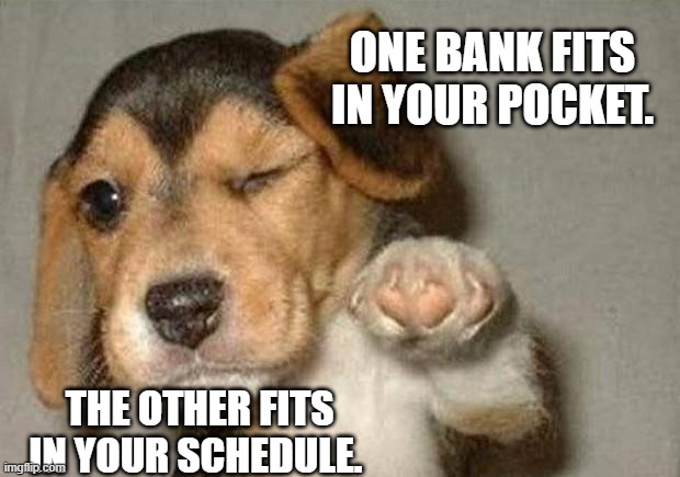 Winking Dog | ONE BANK FITS IN YOUR POCKET. THE OTHER FITS IN YOUR SCHEDULE. | image tagged in winking dog | made w/ Imgflip meme maker