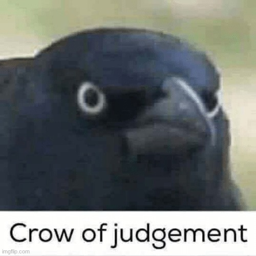 the crow of jugement | image tagged in crow of judgement,idk | made w/ Imgflip meme maker