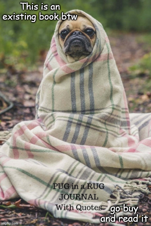 Even tho i didnt read this book go read it 10 outta 10 x2 | This is an existing book btw; go buy and read it | image tagged in pug in a rug,advertising | made w/ Imgflip meme maker
