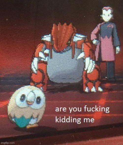 Rowlet vs Groudon | image tagged in rowlet vs groudon | made w/ Imgflip meme maker
