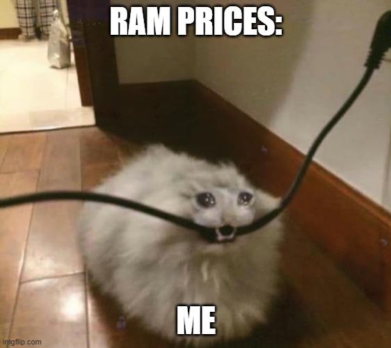 ram prices | RAM PRICES:; ME | image tagged in prices | made w/ Imgflip meme maker