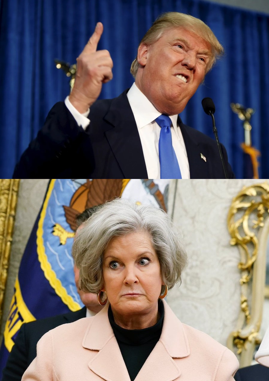 Dumb Trump Blank Meme Template