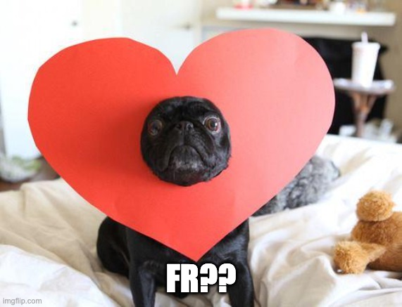 Love pug | FR?? | image tagged in love pug | made w/ Imgflip meme maker