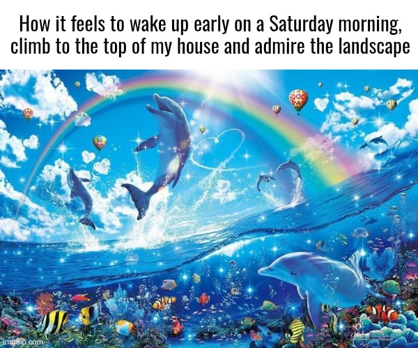With a light breeze it only adds to the wonder | How it feels to wake up early on a Saturday morning, climb to the top of my house and admire the landscape | image tagged in happy dolphin rainbow | made w/ Imgflip meme maker