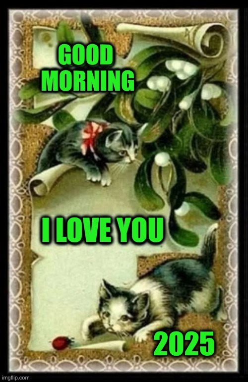 Holiday Greetings! | 2025 | image tagged in good morning,cats,christmas,mistletoe,i love you,2025 | made w/ Imgflip meme maker
