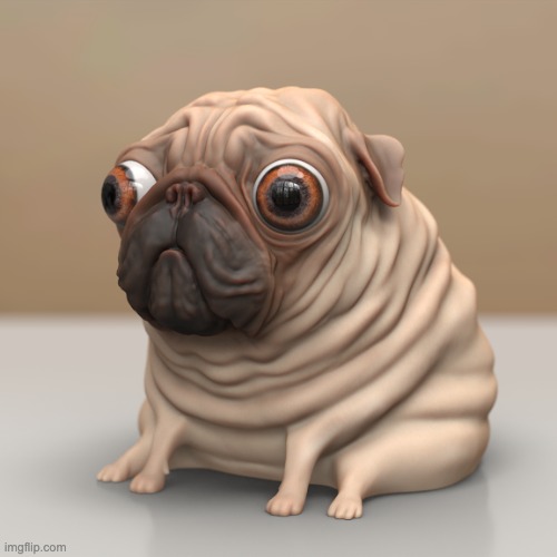 pug | image tagged in pug | made w/ Imgflip meme maker