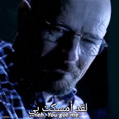 walter white "you got me" | لقد أمسكت بي | image tagged in walter white you got me | made w/ Imgflip meme maker