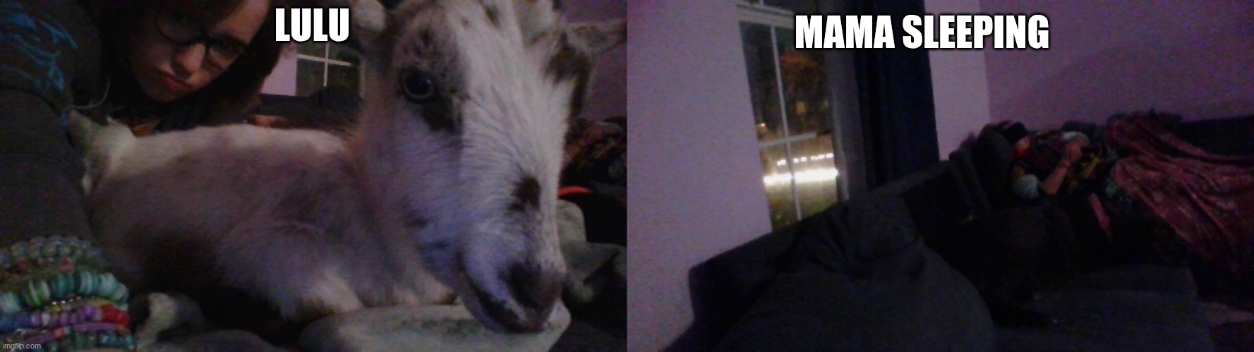 MAMA SLEEPING; LULU | made w/ Imgflip meme maker