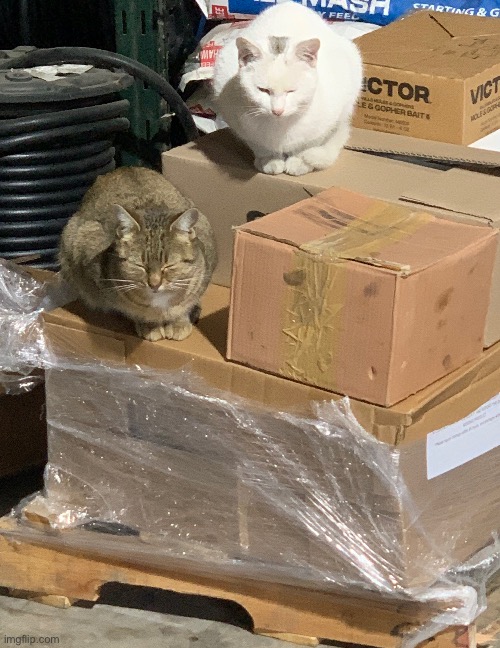 GET OFF!!!!!!!! | made w/ Imgflip meme maker