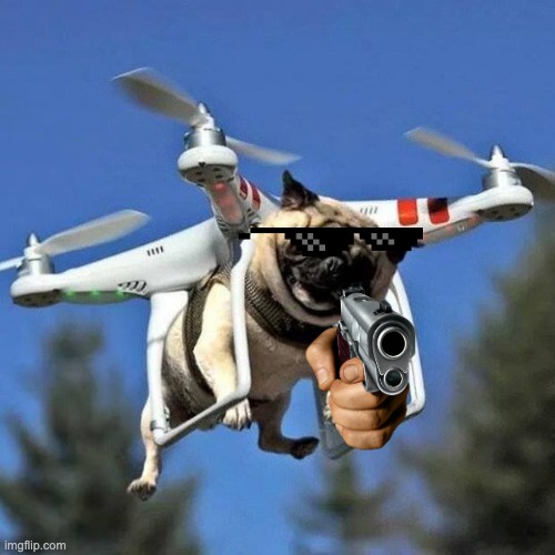 Flying Pug | image tagged in flying pug | made w/ Imgflip meme maker