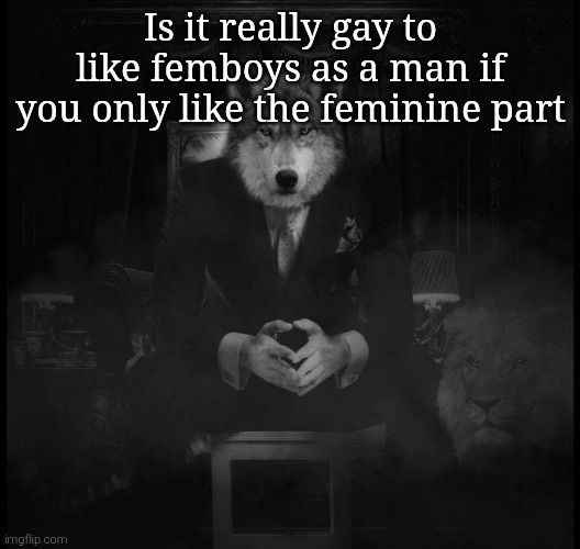 Saw someone on some other forum ask that and want to hear your opinions on ts | Is it really gay to like femboys as a man if you only like the feminine part | image tagged in wolf on a chair | made w/ Imgflip meme maker