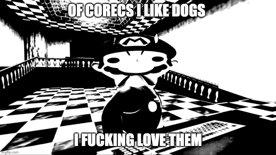 Very angry mario | OF CORECS I LIKE DOGS I FUCKING LOVE THEM | image tagged in very angry mario | made w/ Imgflip meme maker