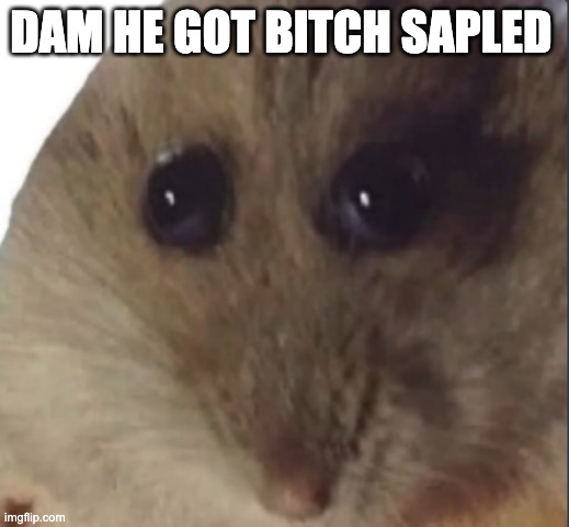 Hampter | DAM HE GOT BITCH SAPLED | image tagged in hampter | made w/ Imgflip meme maker