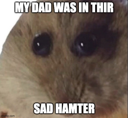 Hampter | MY DAD WAS IN THIR SAD HAMTER | image tagged in hampter | made w/ Imgflip meme maker