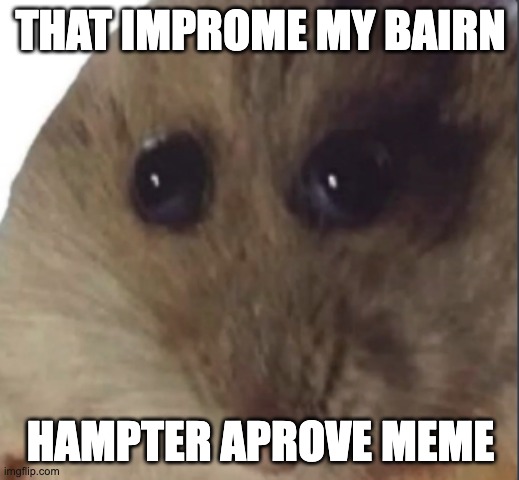 Hampter | THAT IMPROME MY BAIRN HAMPTER APROVE MEME | image tagged in hampter | made w/ Imgflip meme maker