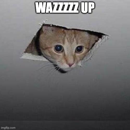 Ceiling Cat | WAZZZZZ UP | image tagged in memes,ceiling cat | made w/ Imgflip meme maker