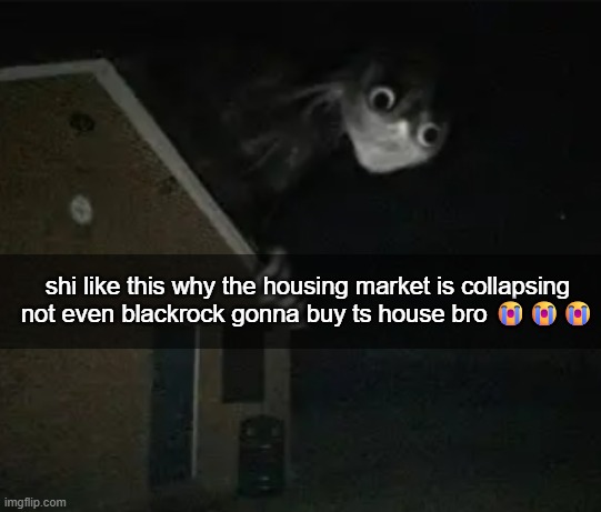 shi like this why the housing market is collapsing
not even blackrock gonna buy ts house bro 😭😭😭 | made w/ Imgflip meme maker