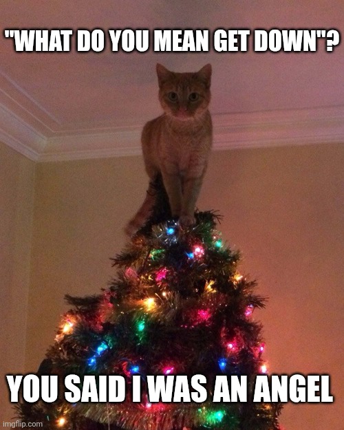 What Do You Mean Get Down | "WHAT DO YOU MEAN GET DOWN"? YOU SAID I WAS AN ANGEL | image tagged in chrisjoines1 | made w/ Imgflip meme maker