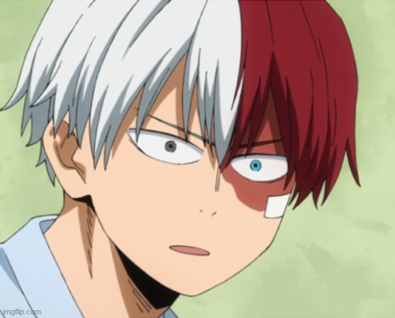 Surprised todoroki | image tagged in surprised todoroki | made w/ Imgflip meme maker
