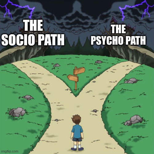 hard choice | THE PSYCHO PATH; THE SOCIO PATH | image tagged in two paths but both are bad | made w/ Imgflip meme maker