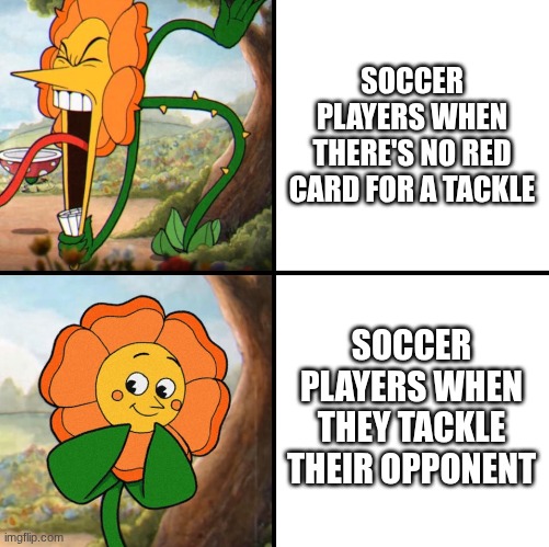 angry flower | SOCCER PLAYERS WHEN THERE'S NO RED CARD FOR A TACKLE; SOCCER PLAYERS WHEN THEY TACKLE THEIR OPPONENT | image tagged in angry flower | made w/ Imgflip meme maker
